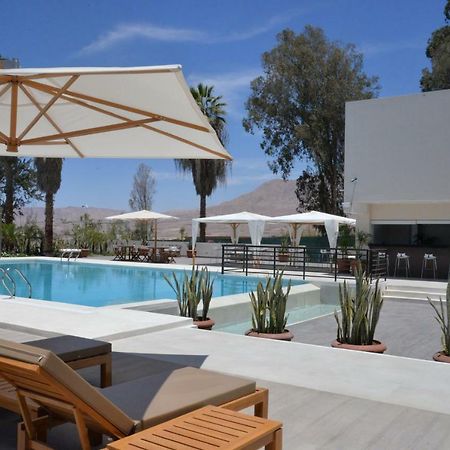 Dm Hoteles Moquegua Eksteriør bilde